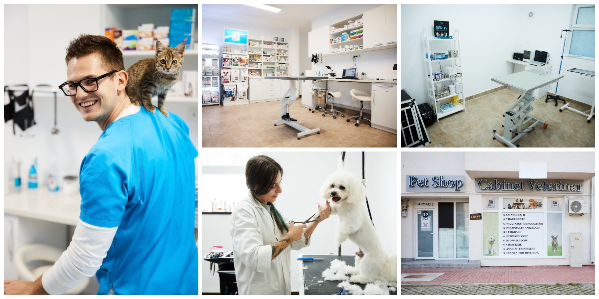 FOTO/VIDEO. Complex veterinar cu oferte complete și servicii integrate în Satu Mare