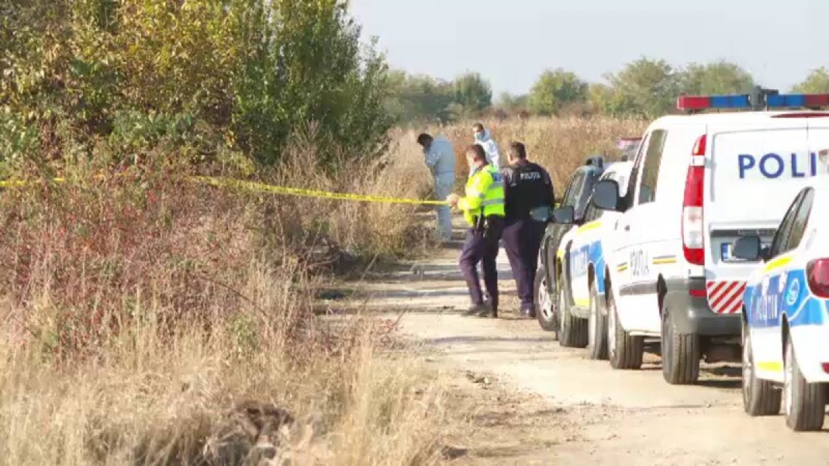 Agricultor din Satu Mare bătut pe câmp cu furca. Doi ”asistați” i-au furat cultura de porumb