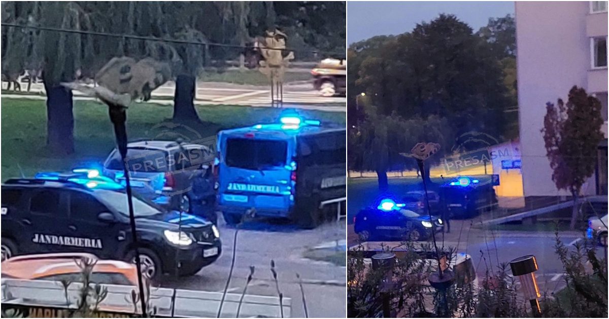 FOTO/VIDEO. Zeci de percheziții ieri, la Satu Mare. Traficanții aduceau drogurile din Ungaria și le vindeau în Carei și Satu Mare