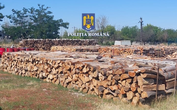 Un tânăr din județ, care a furat lemne să nu înghețe, iertat de judecători