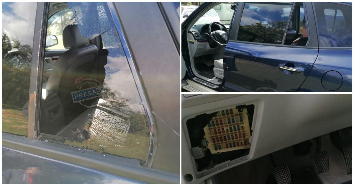 FOTOGALERIE. Mașinile sătmărenilor plecați la cules de ciuperci, vandalizate lângă pădure