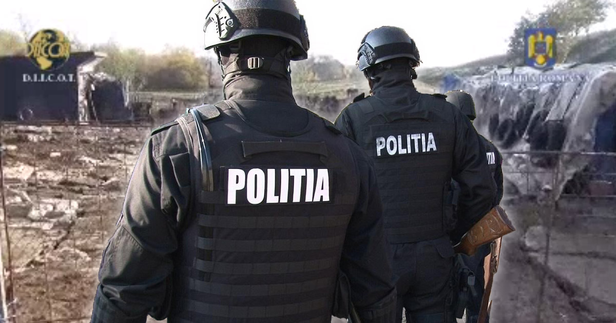 Percheziții la Satu Mare. Sunt vizate mai multe firme. 13 persoane vor ajunge la audieri