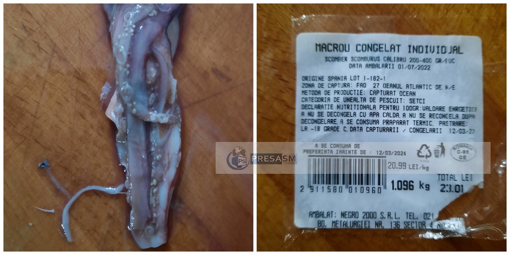 FOTO/VIDEO. Pește cu viermi la un hypermarket din Satu Mare! Atenție la ce cumpărați!