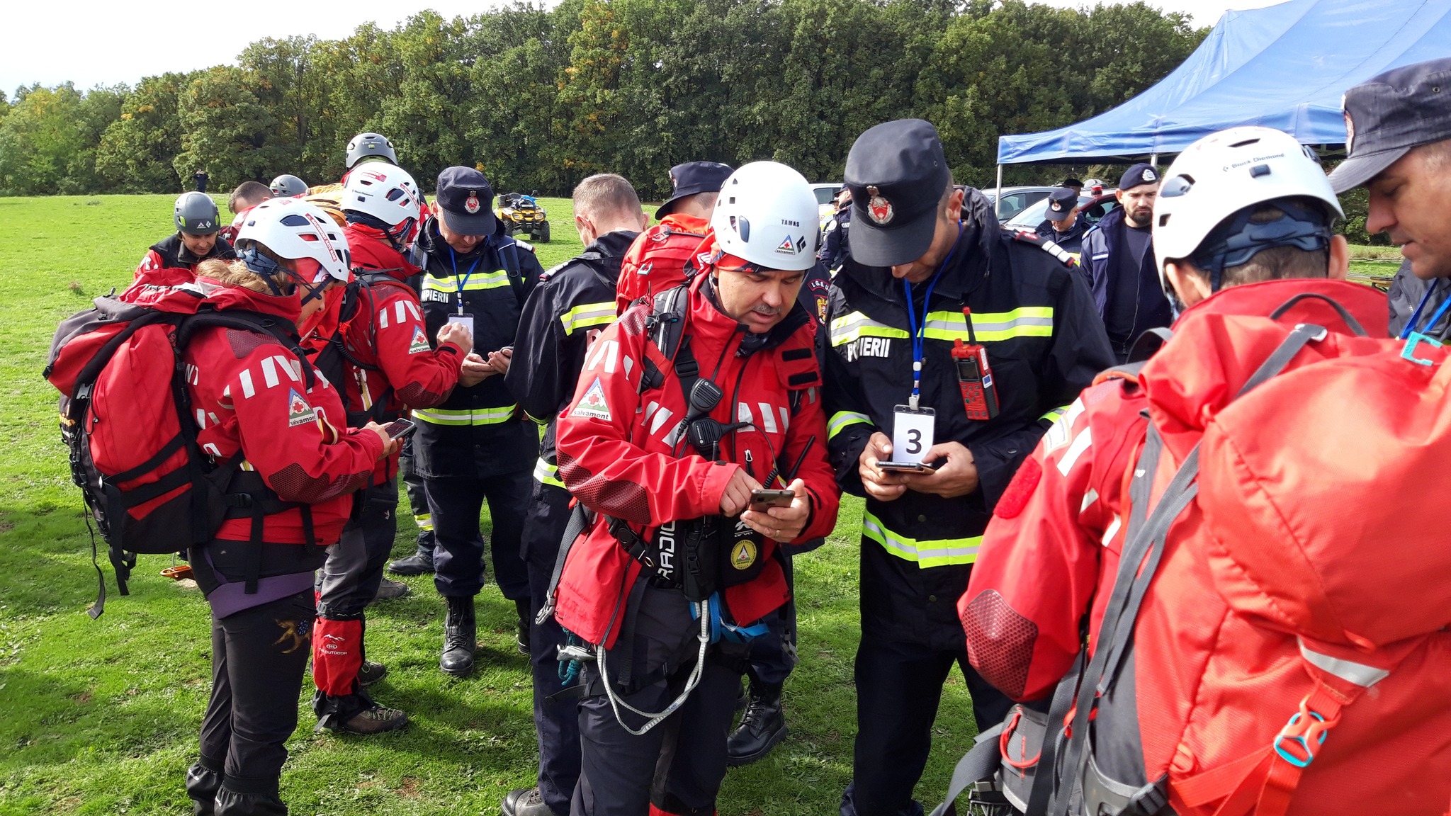 Două tinere sătmărence au plecat după ciuperci și s-au rătăcit prin pădure