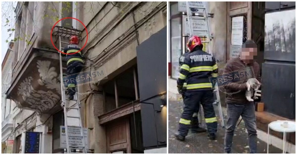 FOTO/VIDEO. Intervenție mai puțin obișnuită pentru pompieri, în centrul Sătmarului. Au salvat o pisicuță blocată la etaj