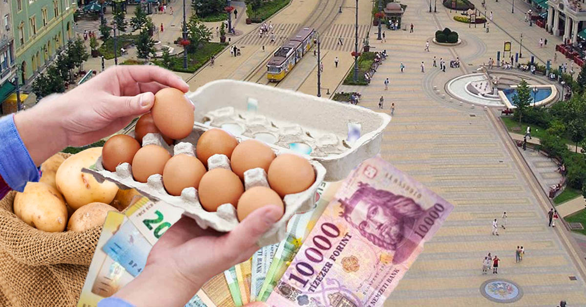 Plafonări de prețuri în Ungaria. Instituții închise din cauza energiei scumpe. La Debrecen, tramvaiele şi troleibuzele circulă mai rar