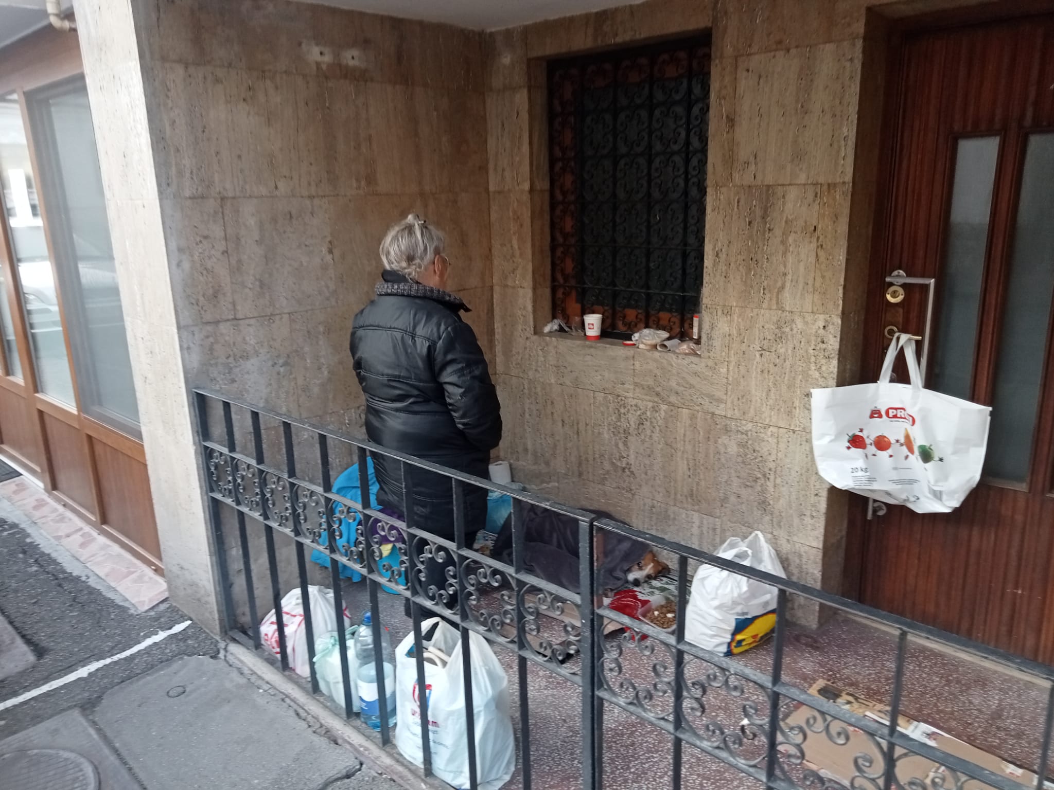 FOTO. Bătrânica trăia pe terasa unei case, în frig, doar cu câinele drept companie. A fost ajutată grație sătmărenilor