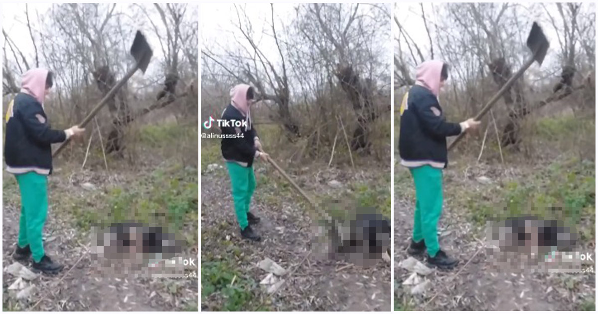 VIDEO. Un tânăr a postat pe Tik Tok momentul în care ucide un câine. Cruzime lângă Satu Mare, polițiștii fac cercetări