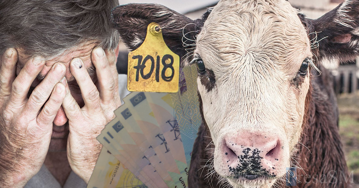 Amendă și avertismente pentru crescătorii de animale din județul Satu Mare