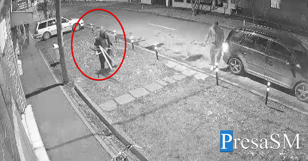 VIDEO. Chiar se fură orice la Satu Mare. Un bărbat și-a luat acasă țărușii care protejau puieții nou-plantați