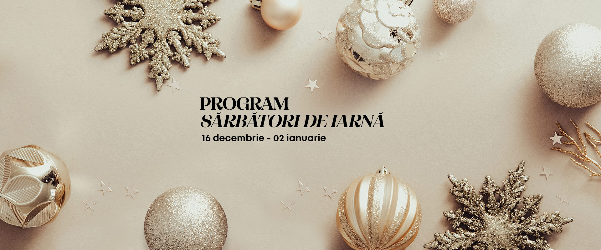 Programul Shopping City Satu Mare de Crăciun și Anul Nou