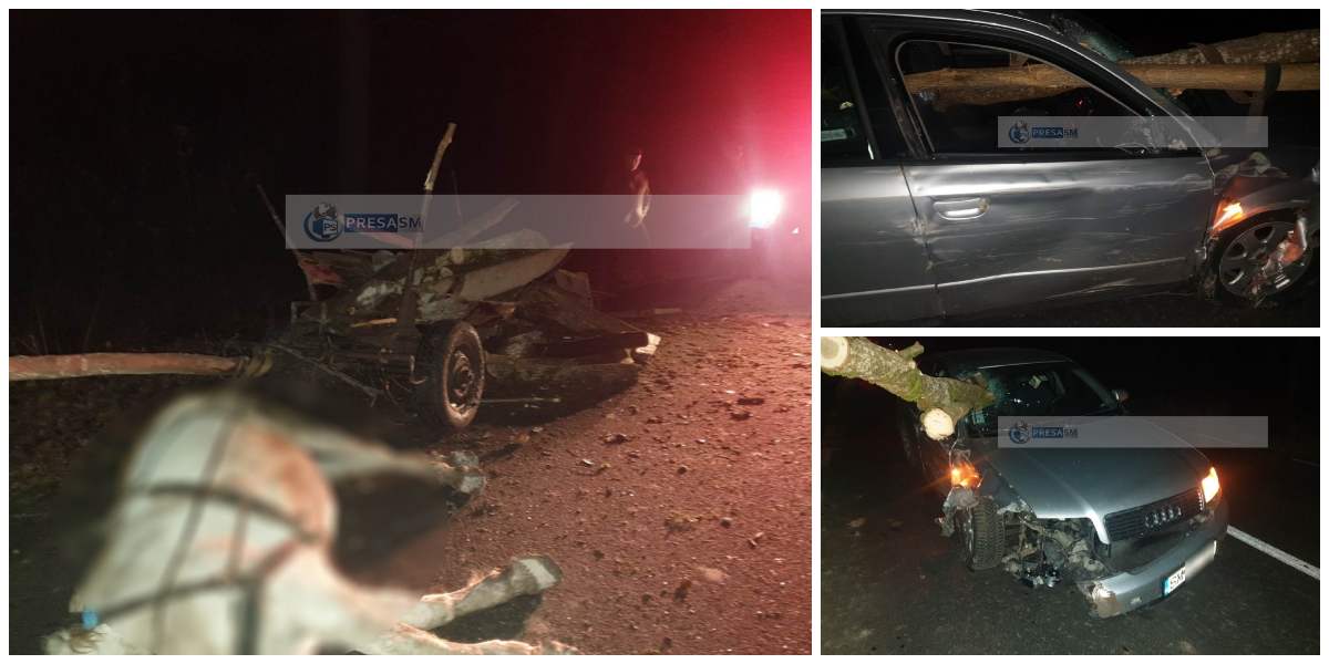 FOTOGALERIE. Căruță spulberată de o mașină, în județ. Cal mort, copac înfipt în mașină