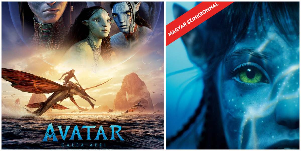 AVATAR la Cineplexx Satu Mare, din 16 Decembrie. În incinta Shopping City