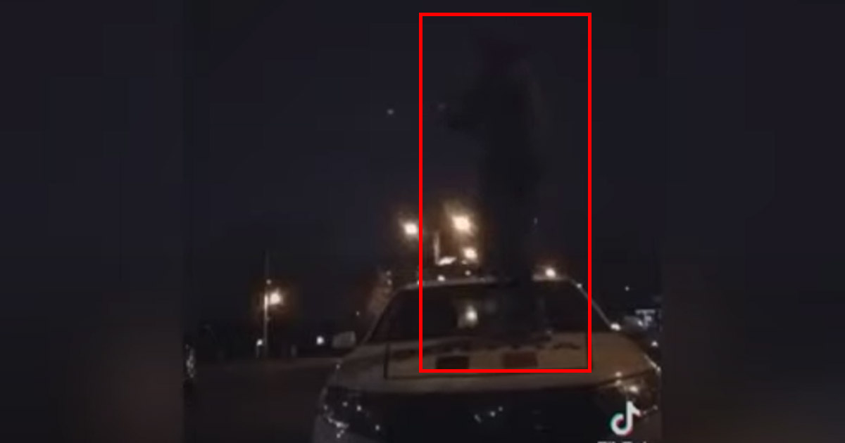 VIDEO. Filmare virală. Tânăr pe Tik Tok, dans pe manele urcat pe autospeciala de poliție