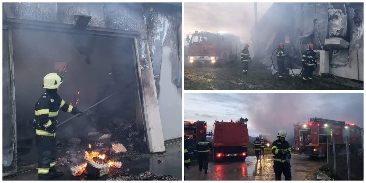 FOTO/VIDEO. Incendiu uriaș la o fermă de găini din județul Satu Mare. Mii de găini arse de vii