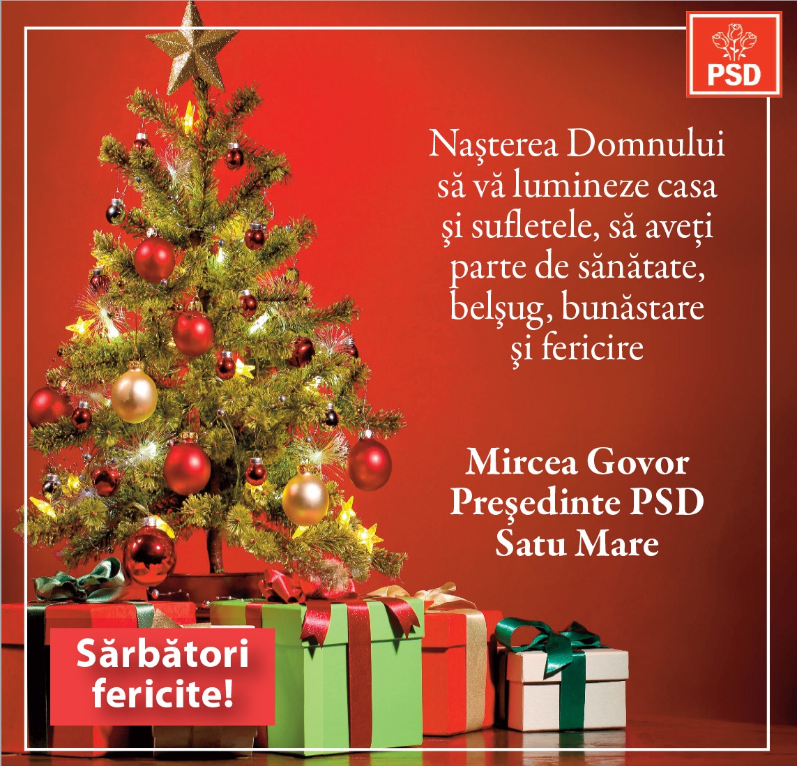 Conducerea PSD Satu Mare vă urează Crăciun fericit!