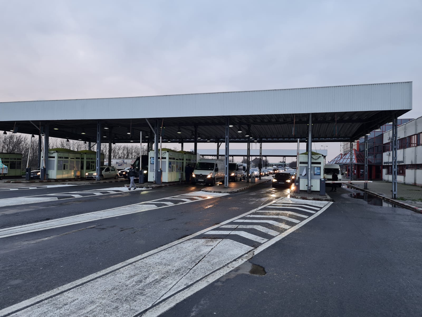 VAMA PETEA. Cazul incredibil al unui pieton prins cu permisul de conducere fals