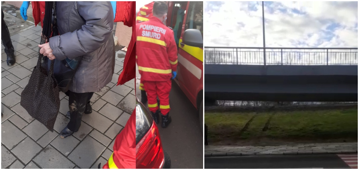 FOTO. Bătrânică atacată de câini pe dig, în centrul Sătmarului. SMURD-ul a preluat-o
