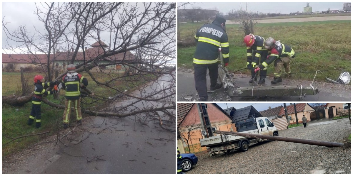 FOTO/VIDEO. Copaci și stâlpi rupți de vânt în Bihor, aproape de județul Satu Mare