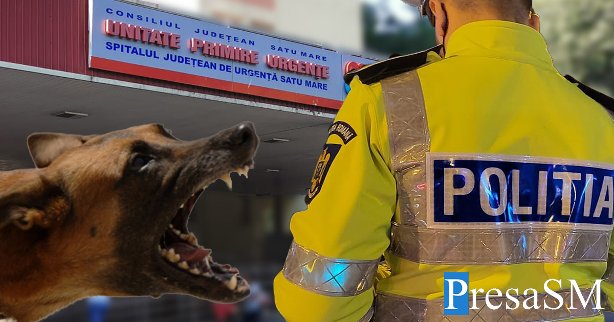 Focar de rabie (turbare) în județul Satu Mare. Mai multe localități sunt în alertă