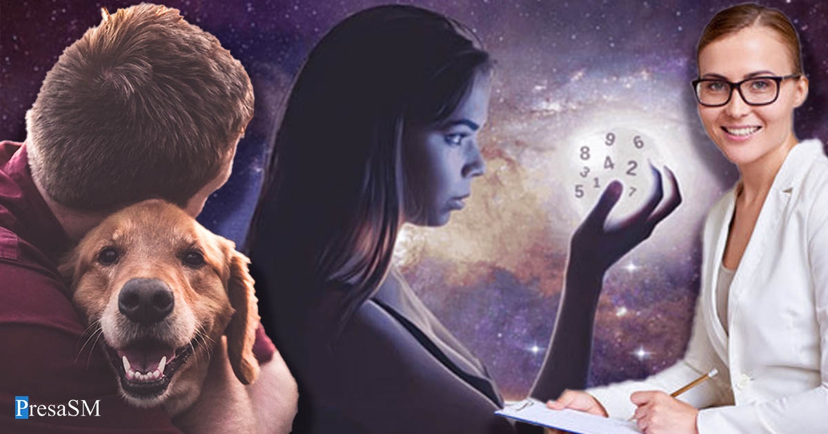 Apar noi meserii, dispar altele. 13 noi profesii ar putea fi adăugate în România