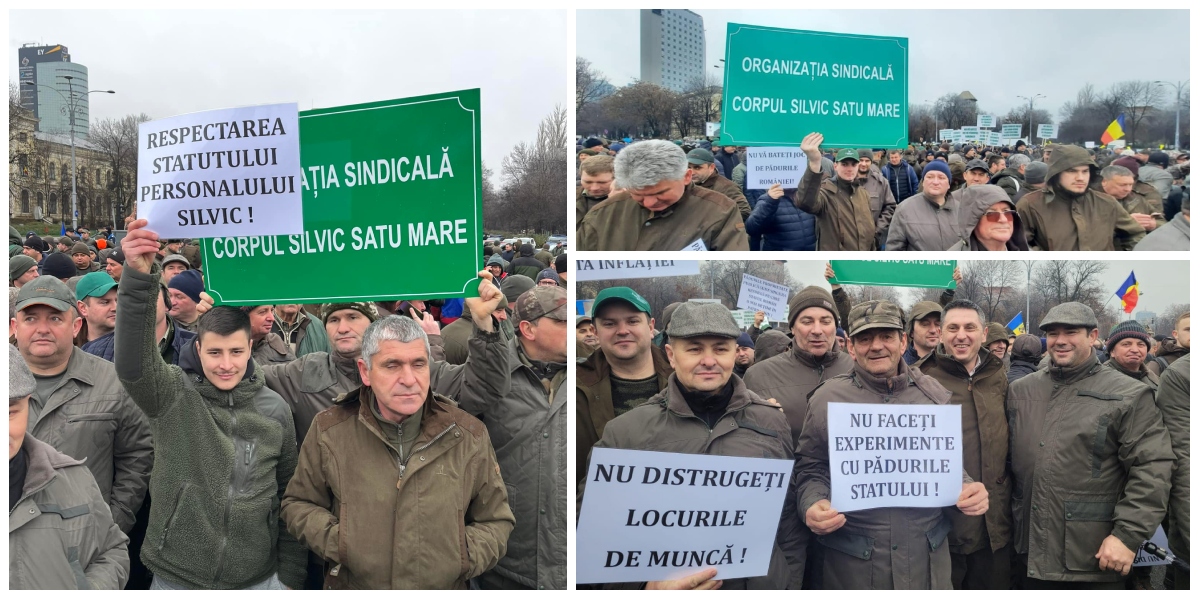 FOTO. Pădurarii din județul Satu Mare au ieșit în stradă: ”Nu înstrăinați pădurile!”