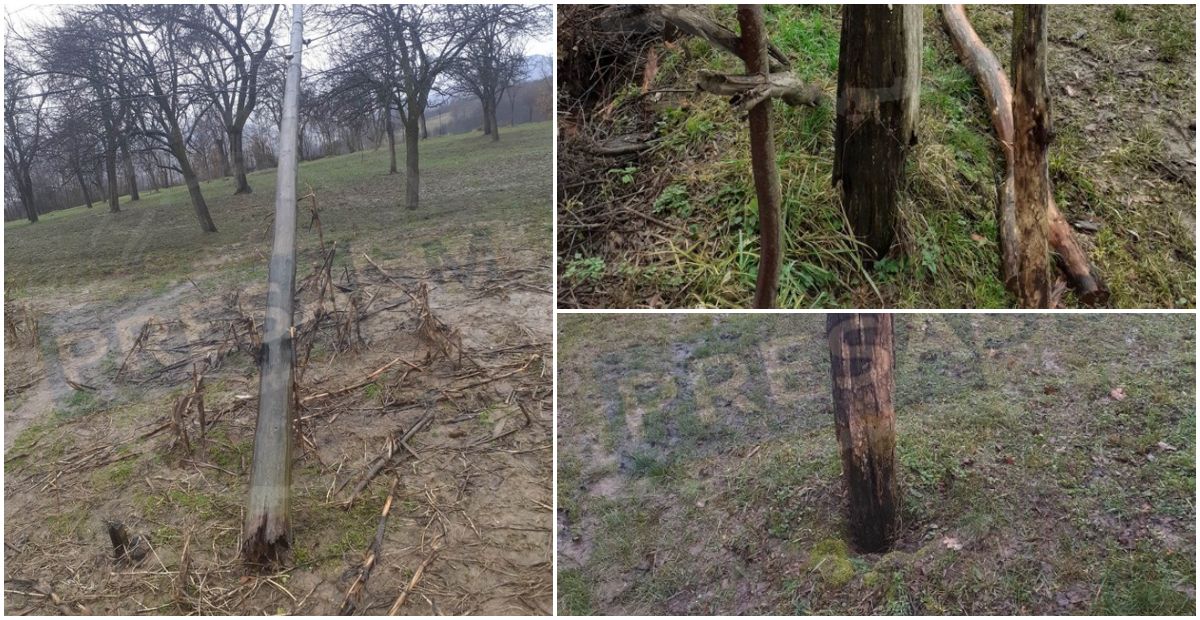 FOTO. Pericol în județul Satu Mare. Stâlpii de lemn stau să cadă