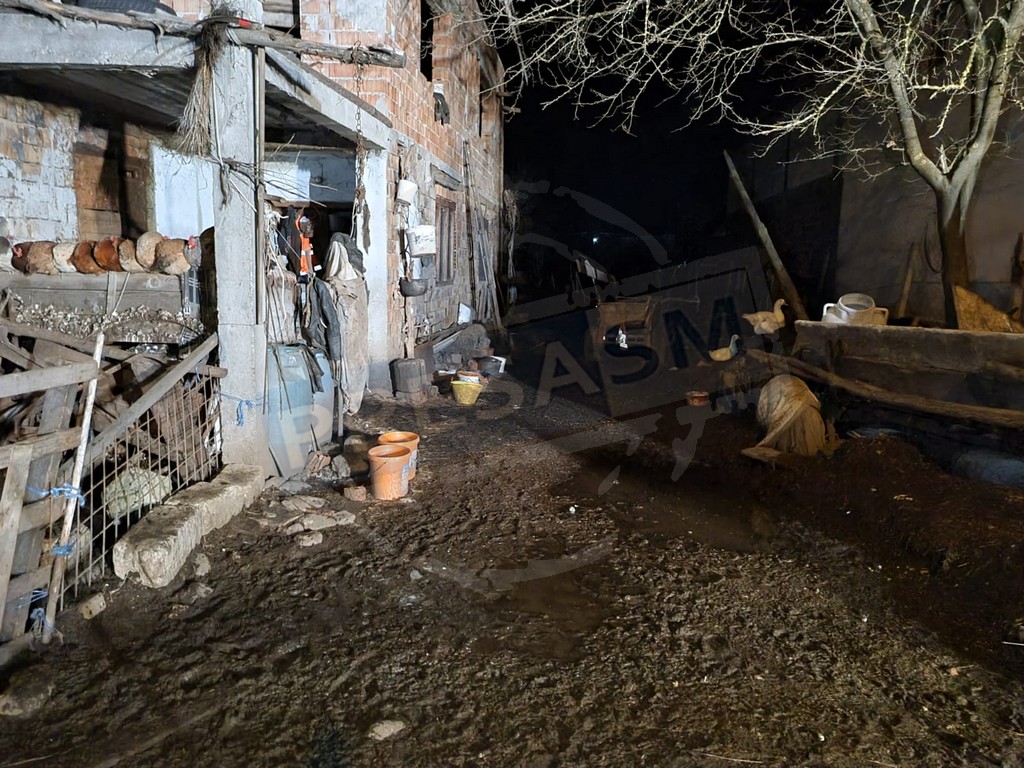 FOTO/VIDEO. Crimă în județul Satu Mare. Mărturiile vecinilor, cum s-ar fi întâmplat totul