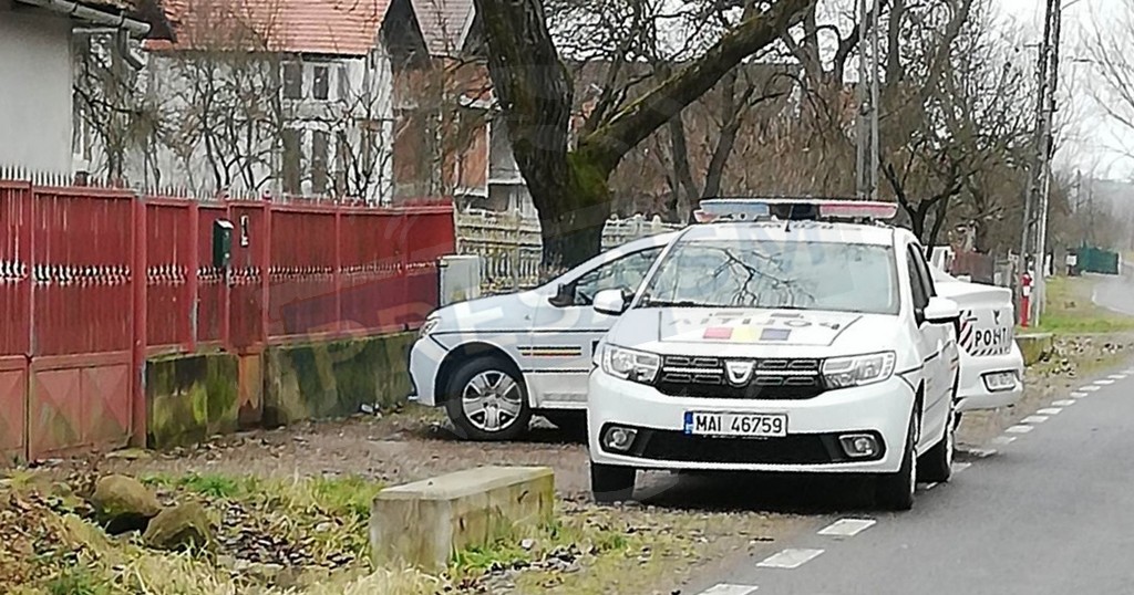 Un oșan și-a apărat mama agresată. A ajuns după gratii dintr-un motiv stupid