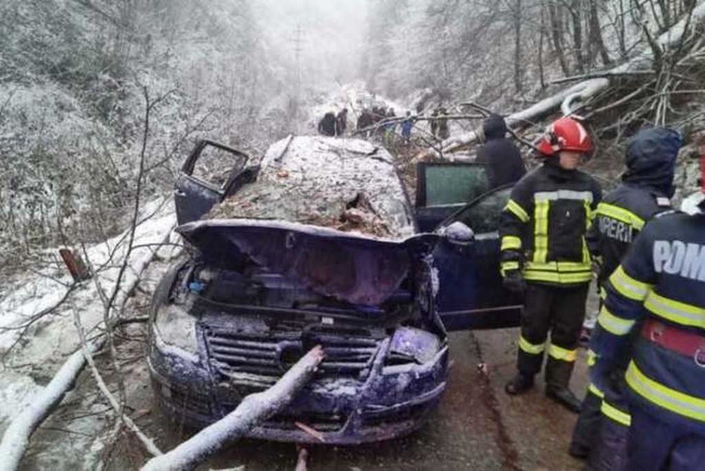 FOTO. Tragedie într-un județ din țară. Copil mort după ce un copac a căzut peste mașina părinților
