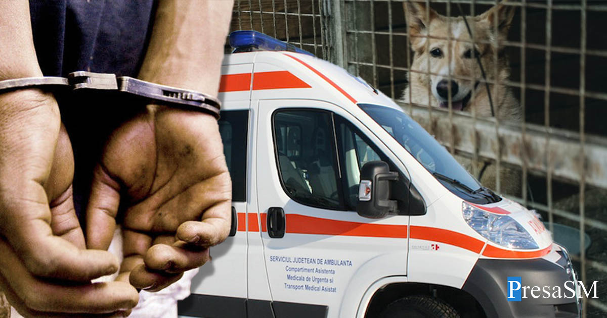 Scene de groază într-un oraș din țară. Copil sfâșiat de câinii unui vecin. Polițiștii i-au găsit urechea într-un șant