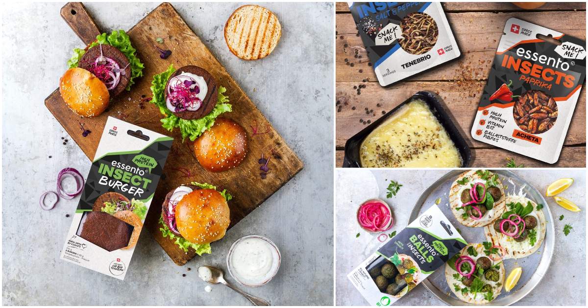 Mâncarea pe bază de insecte ajunge și în magazinele de la noi. Care vor fi regulile
