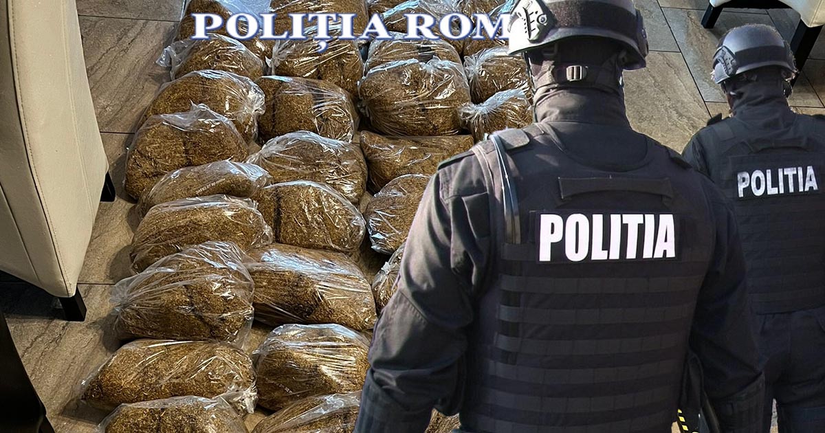 FOTO. Percheziții și reținere în județul Satu Mare. Mini fabrică de țigări destructurată de polițiști