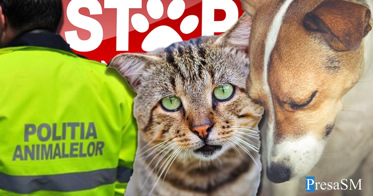 Proprietari din Satu Mare, lăsați anul trecut fără animale de către polițiști. Sătmărenii au făcut sute de sesizări