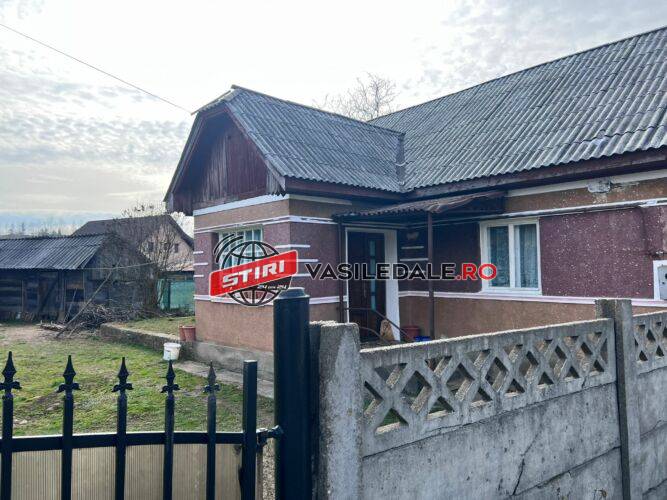 VIDEO. O fiică și-a ucis mama, apoi a fugit în pădure. Crimă oribilă în județul vecin