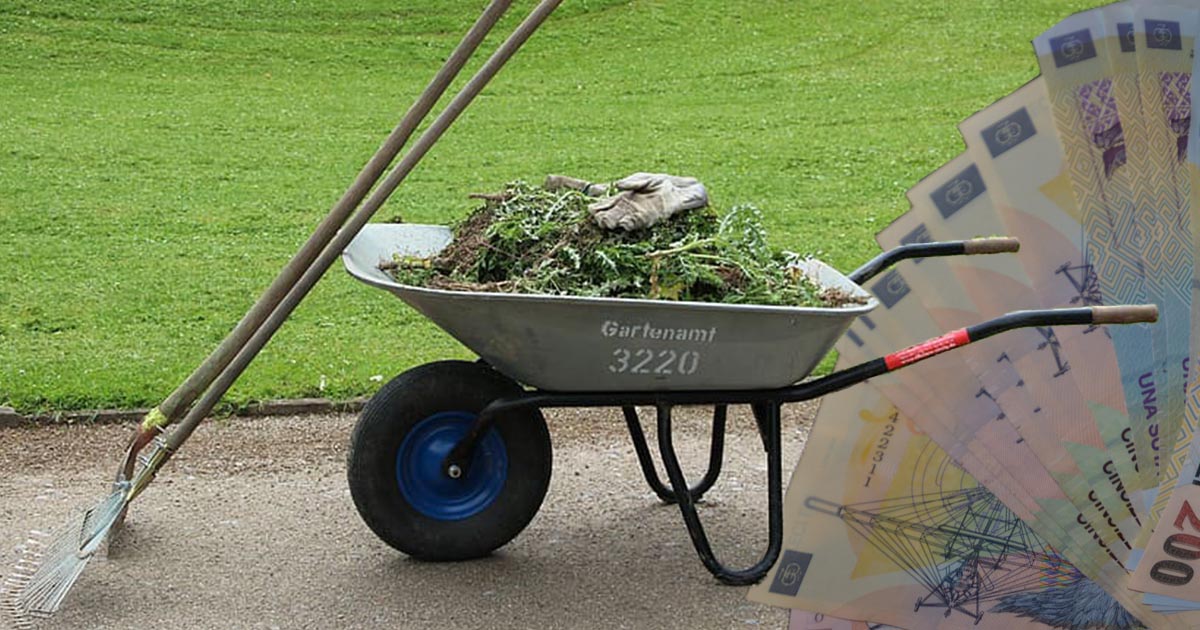 Atenție mare la cum faceți curățenia de primăvară! Amenzile ajung la zeci de mii de lei. Se anunță controale pe teren