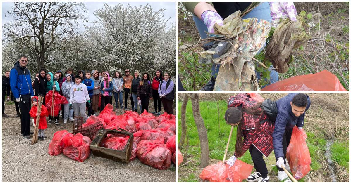 FOTO. SamCivica a făcut curat într-o zonă pitorească din Sătmărel: "A ajuns un fel de groapă de gunoi"