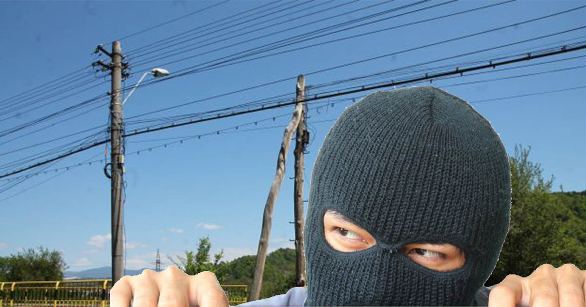 Record în județul Satu Mare. Puștanul Bloki a spart aceeași casă de patru ori