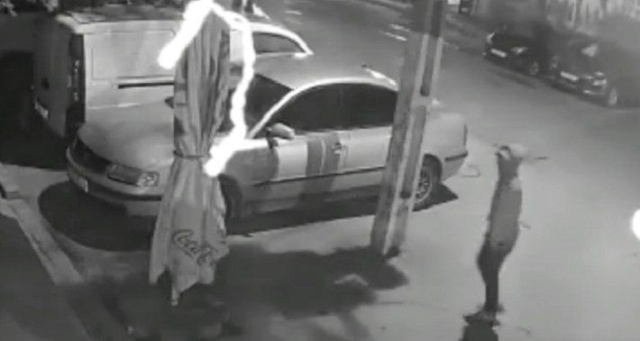 Sătmărean (19 ani) judecat după ce a ucis un câine. A vrut să se dea nebun ca să scape