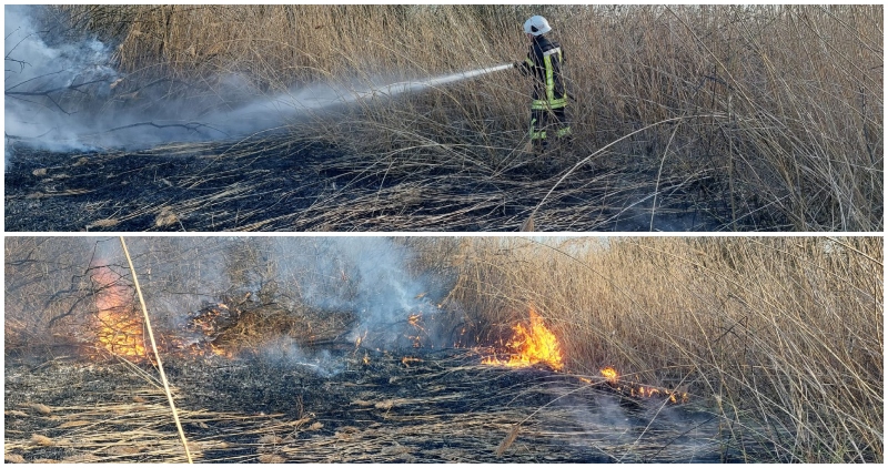 FOTO. Sezonul piromanilor a început. Incendiu de amploare în județul Satu Mare