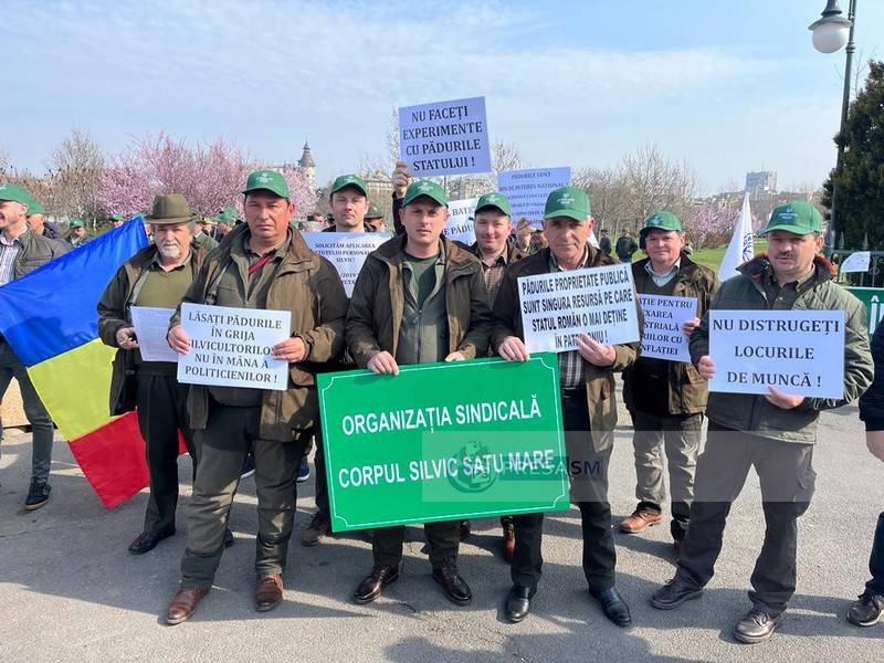 Strigăt de disperare al pădurarilor din județ: Nu faceți experimente cu pădurile statului!