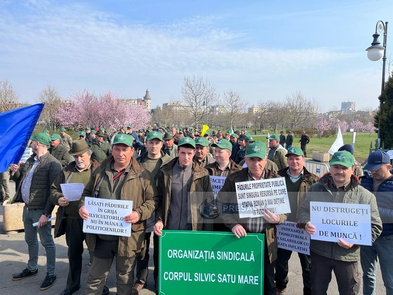FOTO. Zeci de pădurari din Satu Mare protestează și cer oprirea jafului: ”Nu înstrăinați pădurile!”