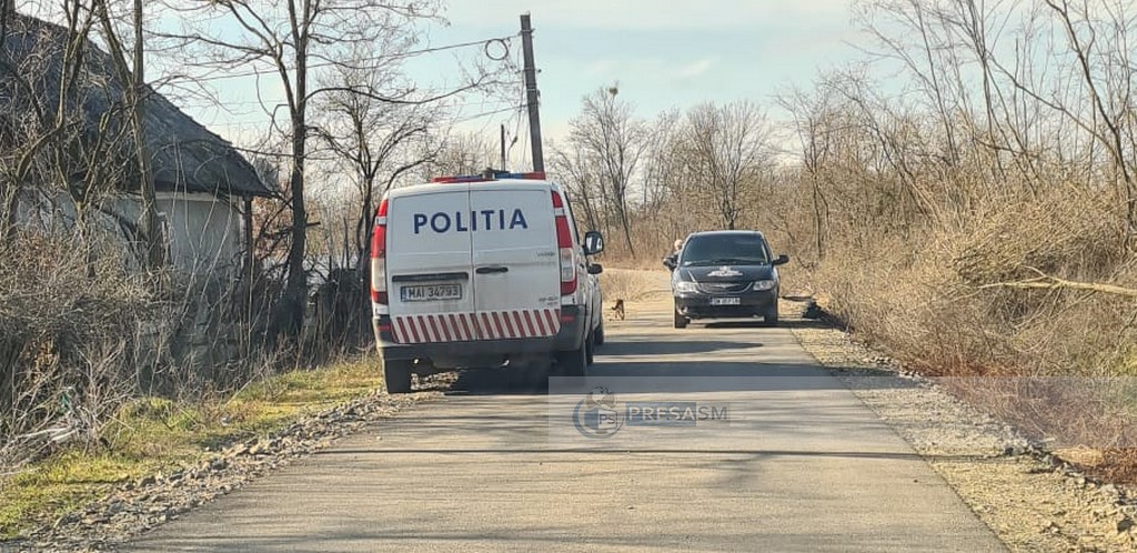 FOTO. Bărbat găsit mort în șanț, devorat parțial de câini, în județul Satu Mare