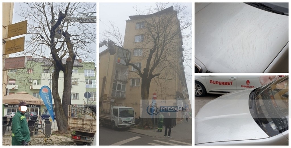 FOTO/VIDEO. Toaletare pericol public în Satu Mare. Mașini avariate și pietoni la un pas de a fi răniți