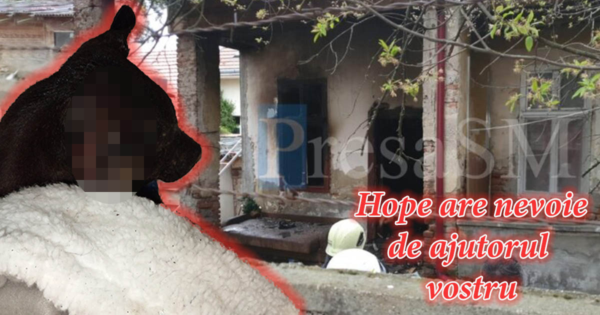 FOTO/VIDEO. Cățelușa arsă în incendiu, în stare gravă. Sătmărenii, rugați să îi dea o mână de ajutor