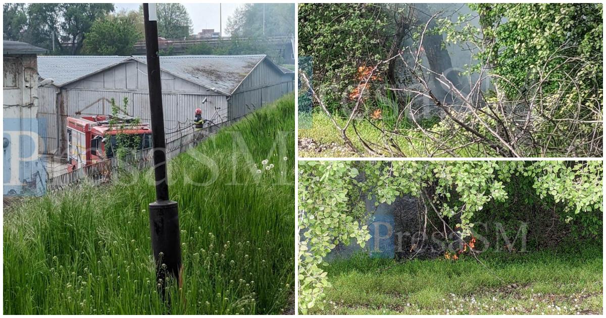 FOTO/VIDEO. Incendiu pe digul Someșului, în Satu Mare. Lângă Textila Ardeleana