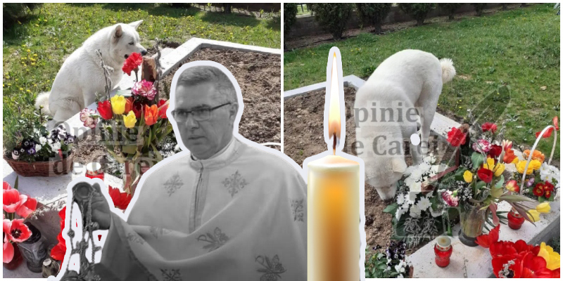 FOTO. Câinele unui preot decedat din Carei așteaptă la mormântul stăpânului. Loialitate sfâșietoare
