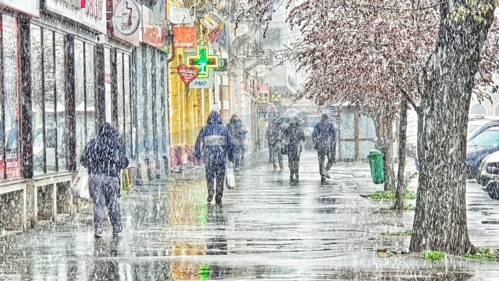 FOTO. Cod galben la Satu Mare: ninsori, vânt puternic și polei