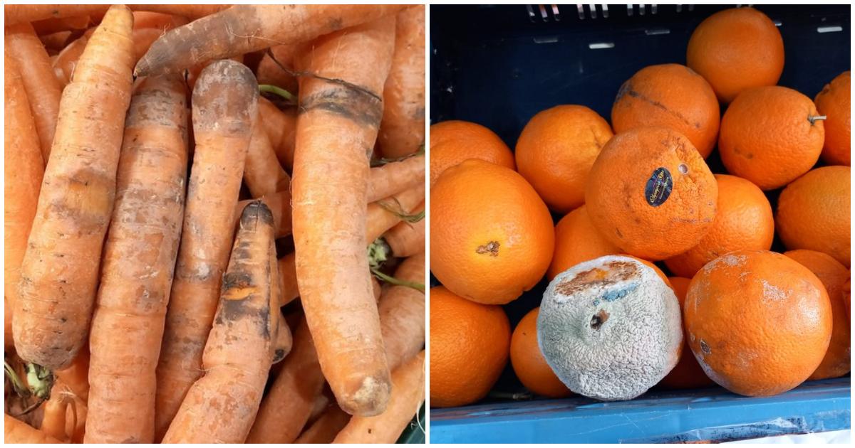 FOTO. Mucegai, mizerie și înșelătorii la Kaufland Satu Mare. Amendă uriașă dată de Protecția Consumatorului