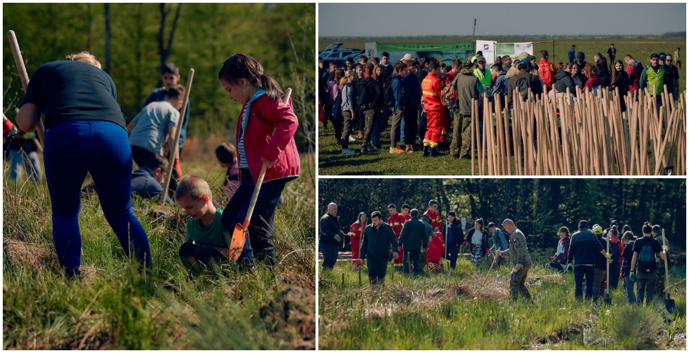 FOTO. Mobilizare impresionantă pentru plantarea unei păduri, în județ! Civili, soldați, jandarmi și pompieri